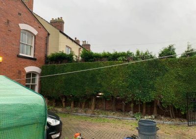 Cheap hedge trimming services in Leeds