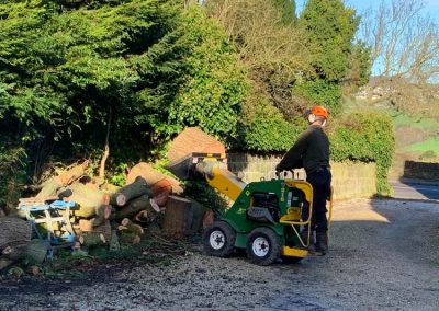 Cheap tree surgeon services in Leeds