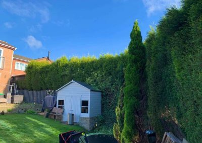 hedge removal and trimming cheap in Leeds
