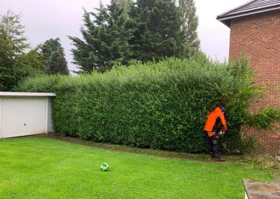 hedge removal and trimming cheap in Leeds