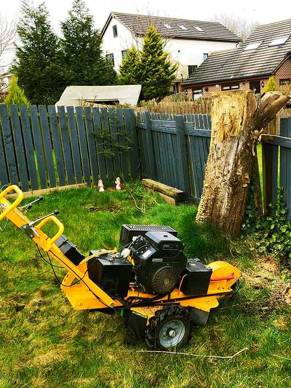stump grinding and removal in Leeds